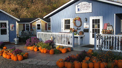 The Cashton area is home to Wisconsin's largest Amish community.